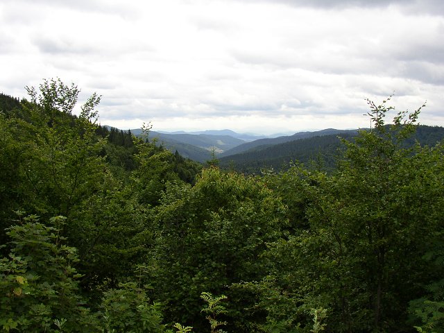 img00015.jpg