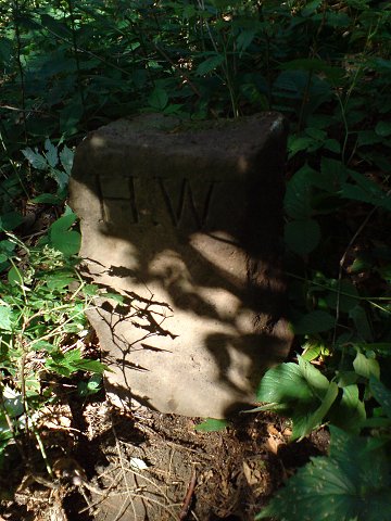 img00019.jpg