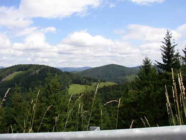 img00048.jpg