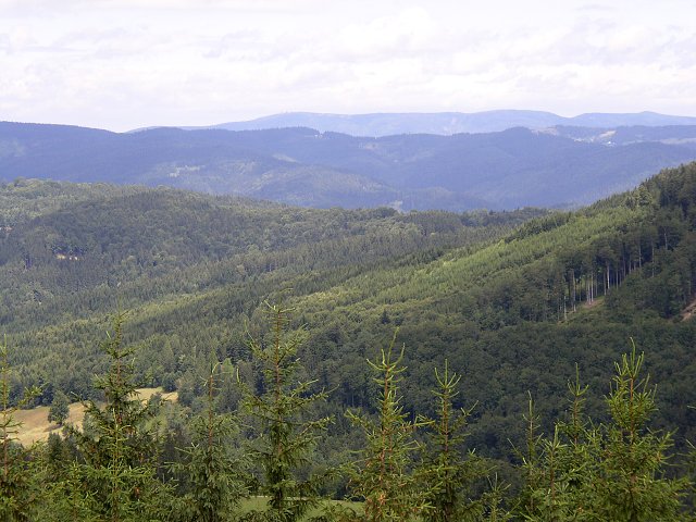 img00049.jpg