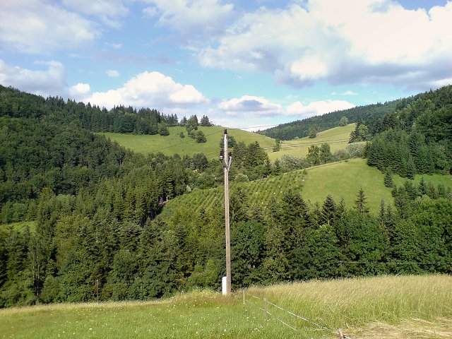 img00005.jpg