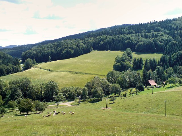 img00007.jpg