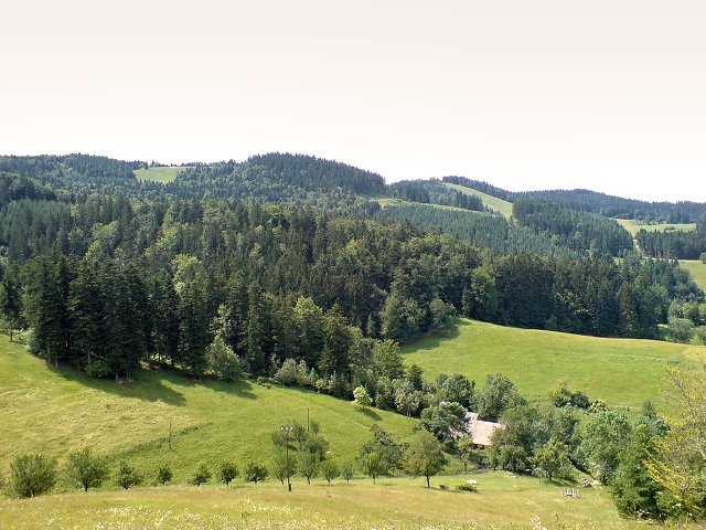 img00008.jpg
