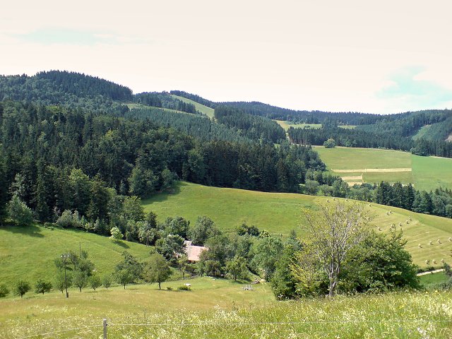 img00009.jpg