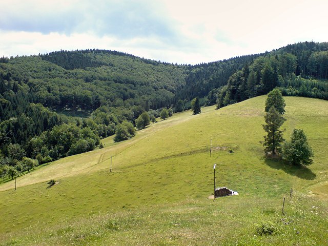 img00010.jpg