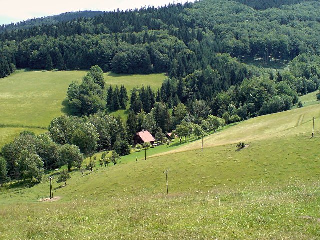 img00011.jpg