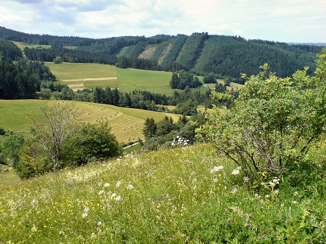 img00013.jpg