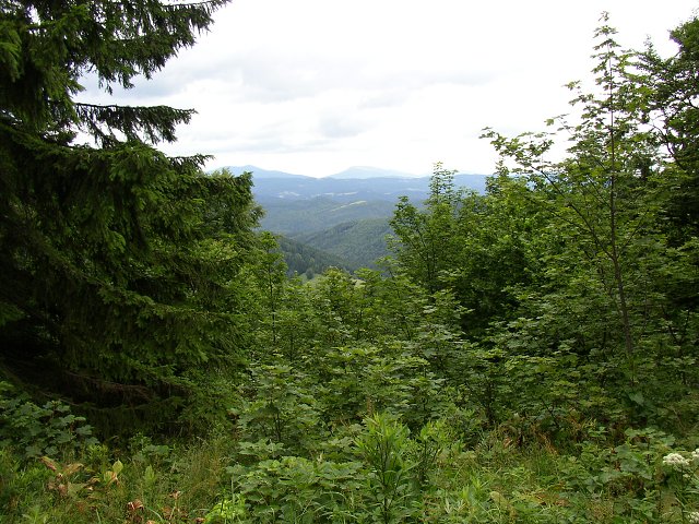 img00014.jpg