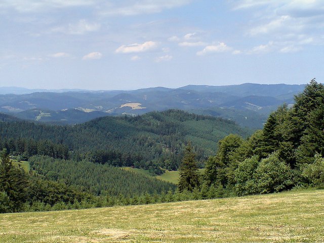 img00028.jpg