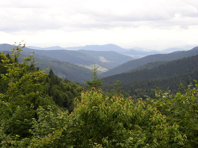 img00030.jpg