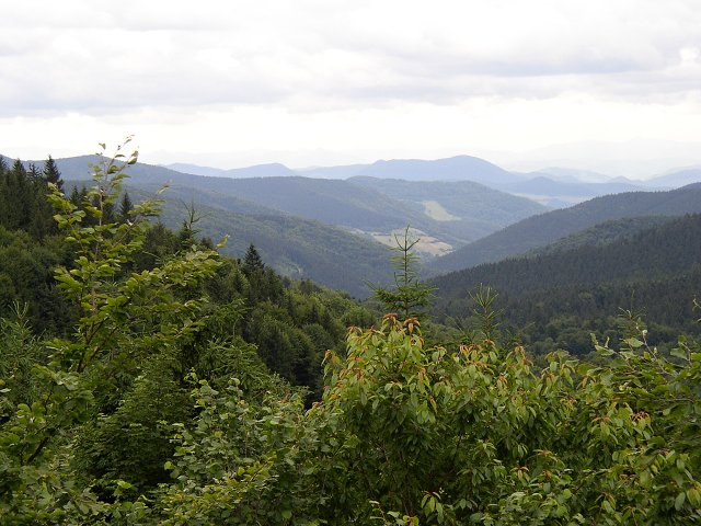 img00031.jpg