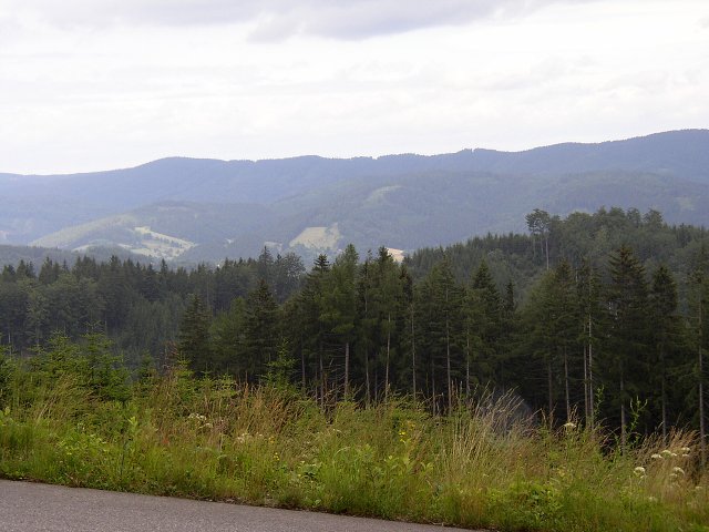img00036.jpg