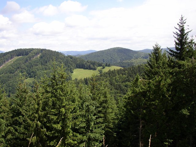 img00040.jpg