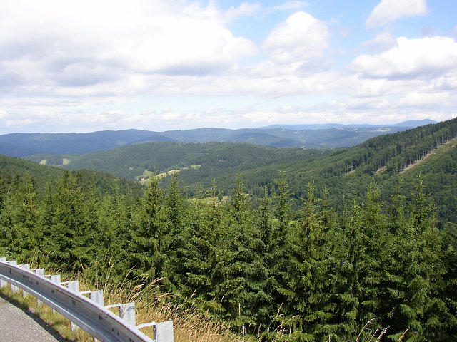 img00041.jpg