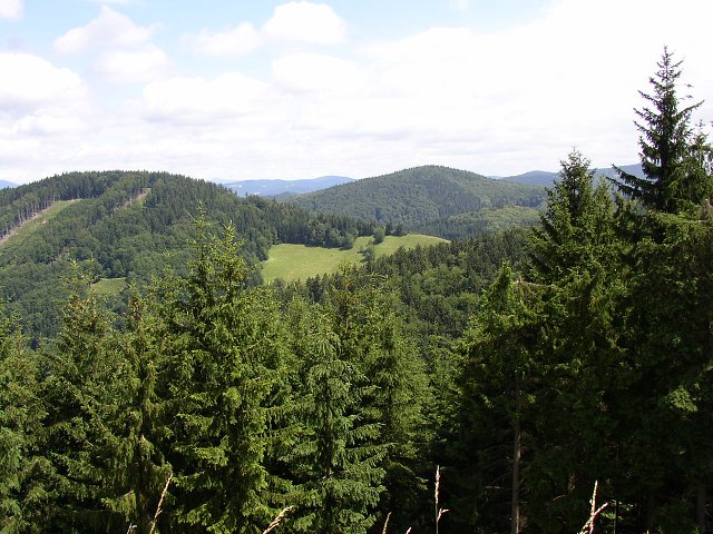 img00043.jpg