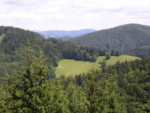 img00044.jpg