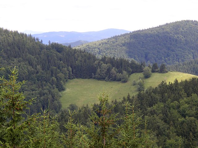 img00050.jpg