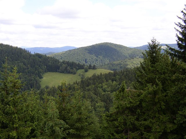 img00051.jpg
