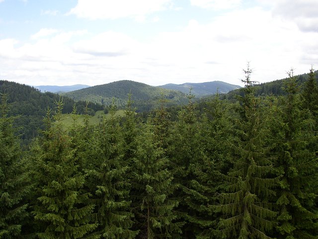 img00052.jpg