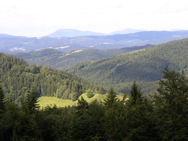 img00057.jpg