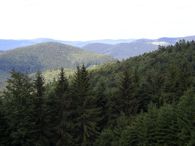img00058.jpg
