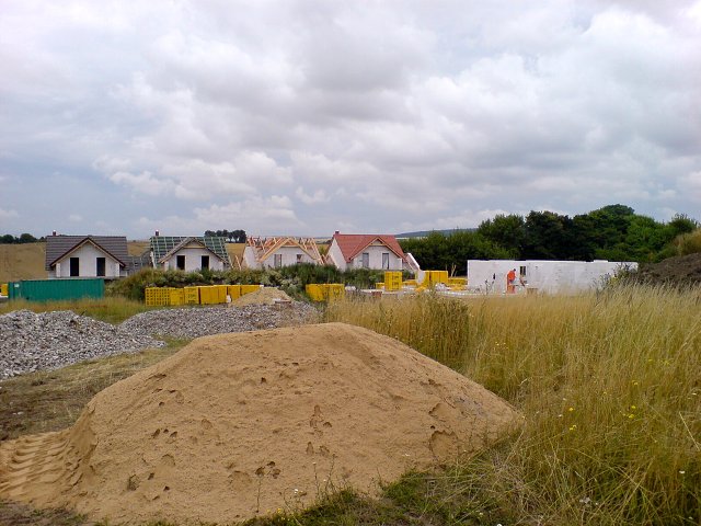 img00005.jpg