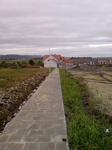 img00037.jpg