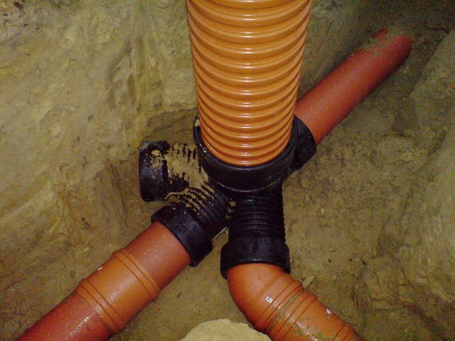img00039.jpg
