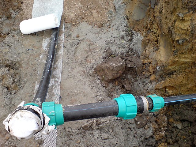 img00043.jpg